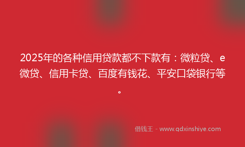 2025年的各种信用贷款都不下款有：微粒贷、e微贷、信用卡贷、百度有钱花、平安口袋银行等。
