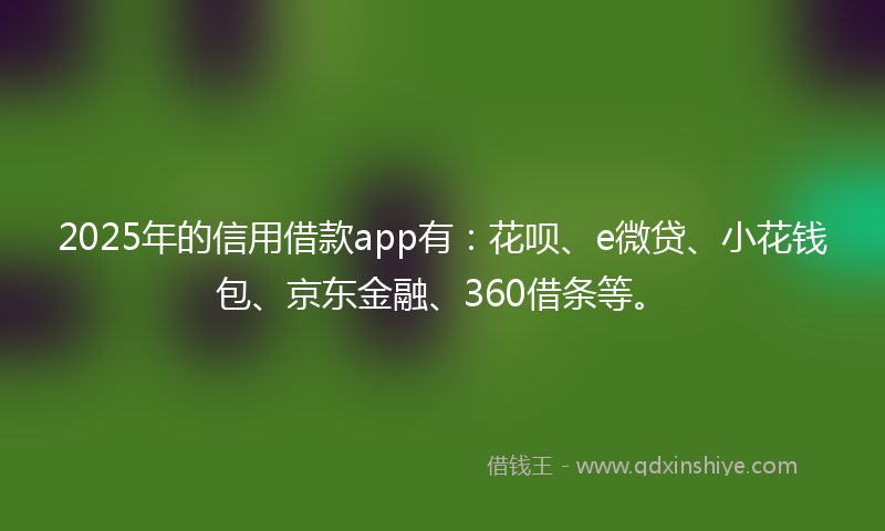 2025年的信用借款app有：花呗、e微贷、小花钱包、京东金融、360借条等。