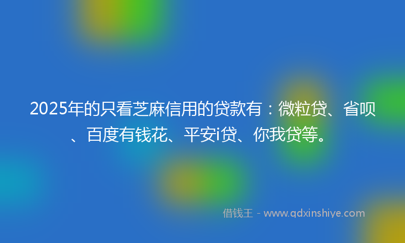 2025年的只看芝麻信用的贷款有：微粒贷、省呗、百度有钱花、平安i贷、你我贷等。