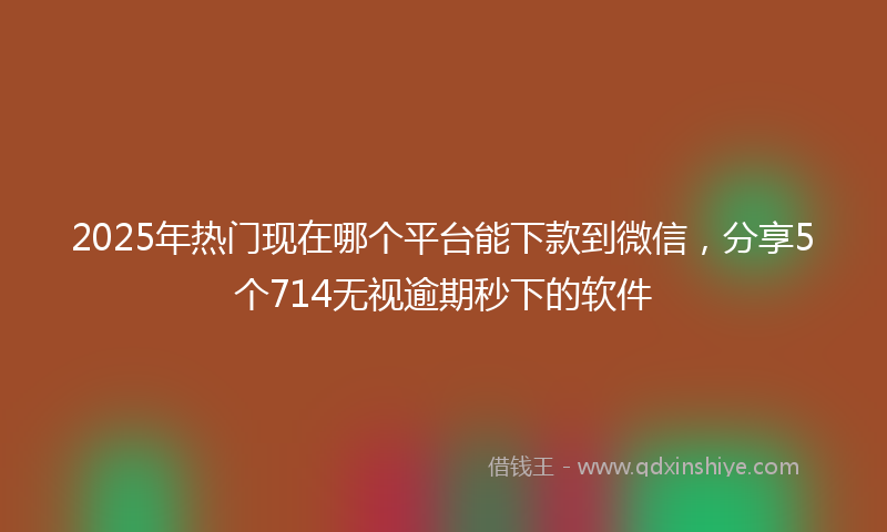 2025年热门现在哪个平台能下款到微信，分享5个714无视逾期秒下的软件