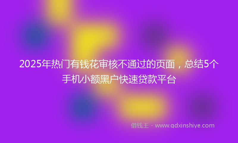 2025年热门有钱花审核不通过的页面，总结5个手机小额黑户快速贷款平台