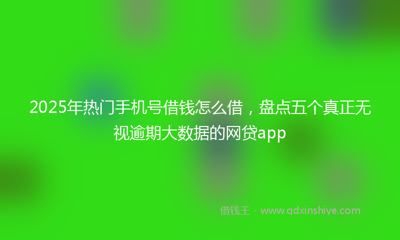 2025年热门手机号借钱怎么借，盘点五个真正无视逾期大数据的网贷app