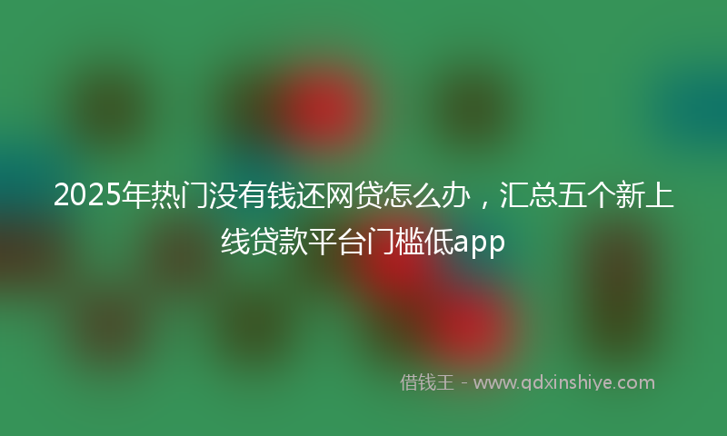 2025年热门没有钱还网贷怎么办，汇总五个新上线贷款平台门槛低app