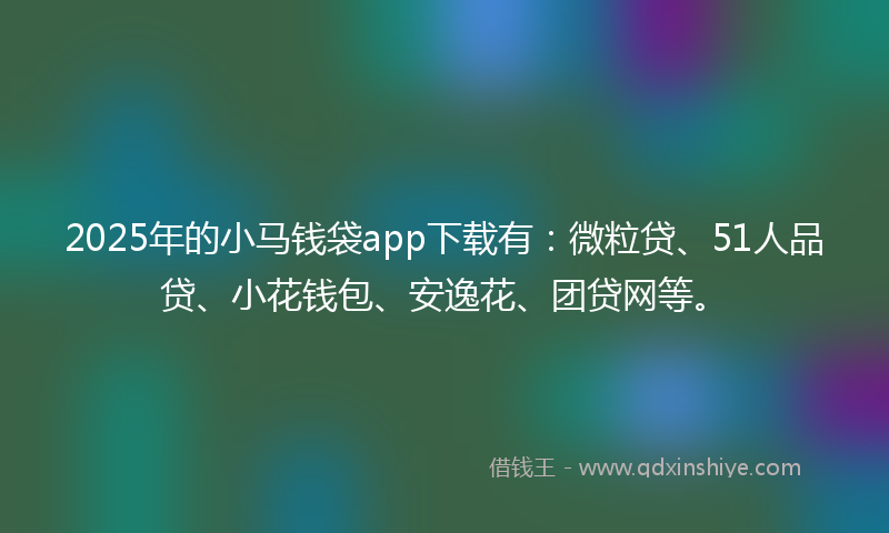 2025年的小马钱袋app下载有：微粒贷、51人品贷、小花钱包、安逸花、团贷网等。