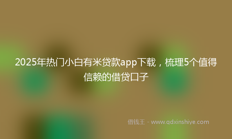 2025年热门小白有米贷款app下载，梳理5个值得信赖的借贷口子