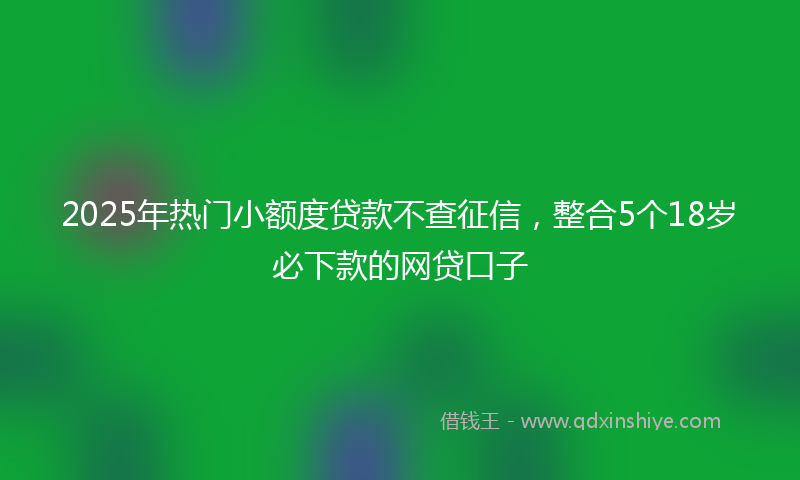 2025年热门小额度贷款不查征信，整合5个18岁必下款的网贷口子