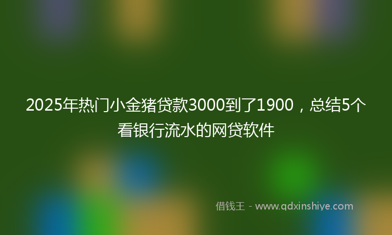 2025年热门小金猪贷款3000到了1900，总结5个看银行流水的网贷软件