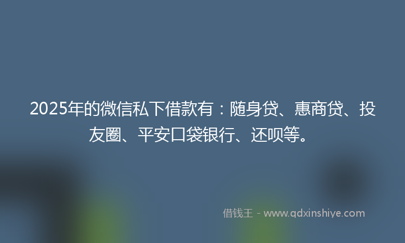 2025年的微信私下借款有：随身贷、惠商贷、投友圈、平安口袋银行、还呗等。
