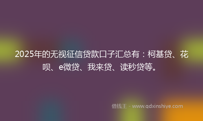 2025年的无视征信贷款口子汇总有：柯基贷、花呗、e微贷、我来贷、读秒贷等。