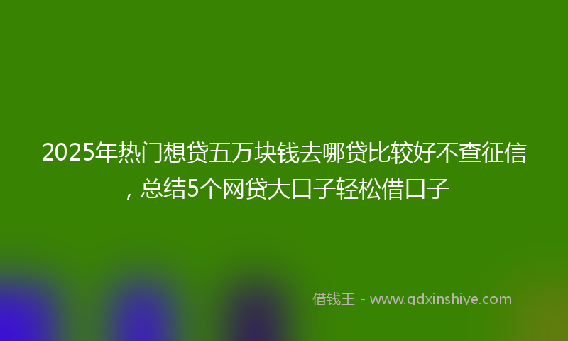 2025年热门想贷五万块钱去哪贷比较好不查征信，总结5个网贷大口子轻松借口子