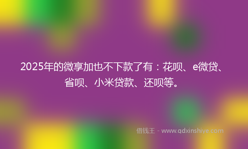 2025年的微享加也不下款了有：花呗、e微贷、省呗、小米贷款、还呗等。