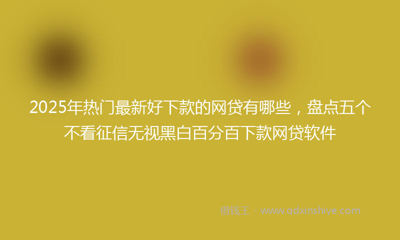 2025年热门最新好下款的网贷有哪些，盘点五个不看征信无视黑白百分百下款网贷软件