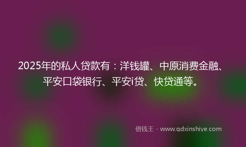 2025年的私人贷款有：洋钱罐、中原消费金融、平安口袋银行、平安i贷、快贷通等。