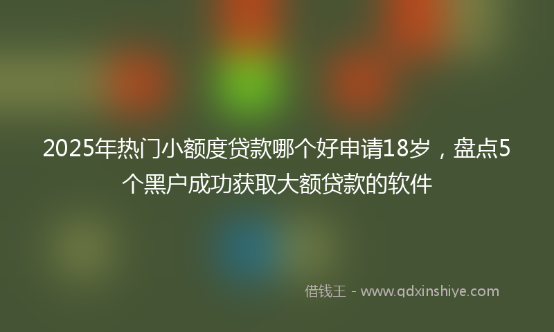 2025年热门小额度贷款哪个好申请18岁，盘点5个黑户成功获取大额贷款的软件