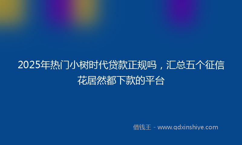 2025年热门小树时代贷款正规吗，汇总五个征信花居然都下款的平台