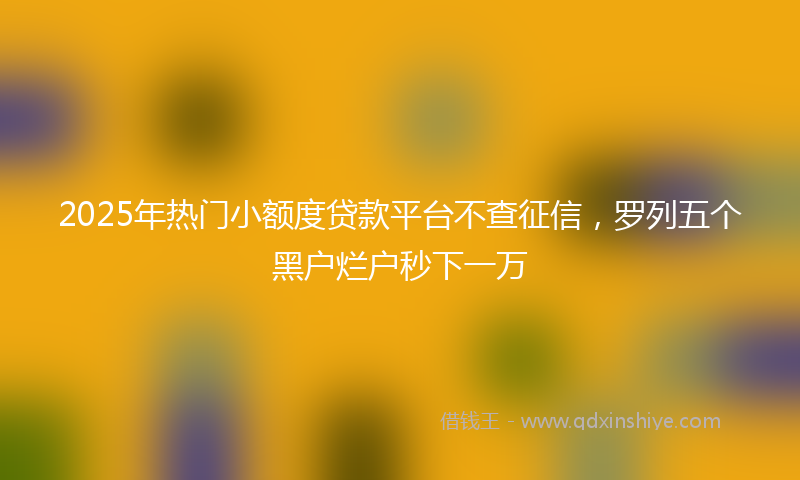 2025年热门小额度贷款平台不查征信，罗列五个黑户烂户秒下一万