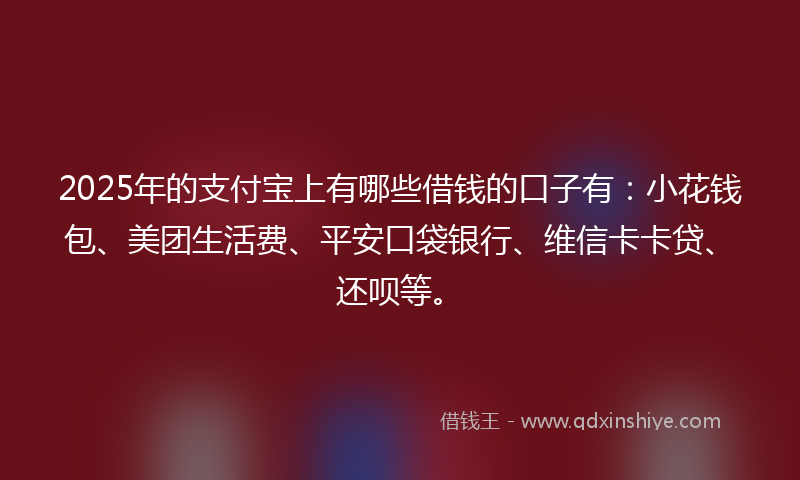 2025年的支付宝上有哪些借钱的口子有：小花钱包、美团生活费、平安口袋银行、维信卡卡贷、还呗等。