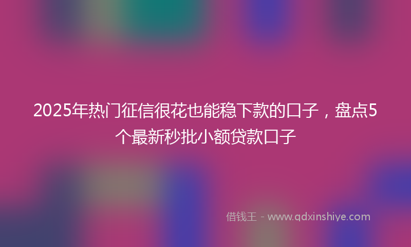 2025年热门征信很花也能稳下款的口子，盘点5个最新秒批小额贷款口子