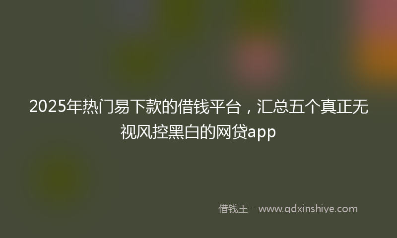2025年热门易下款的借钱平台，汇总五个真正无视风控黑白的网贷app
