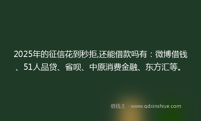 2025年的征信花到秒拒,还能借款吗有：微博借钱、51人品贷、省呗、中原消费金融、东方汇等。