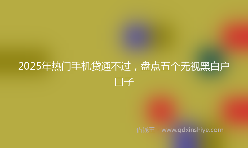 2025年热门手机贷通不过，盘点五个无视黑白户口子