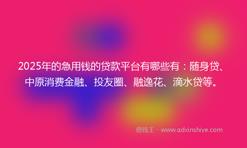 2025年的急用钱的贷款平台有哪些有：随身贷、中原消费金融、投友圈、融逸花、滴水贷等。