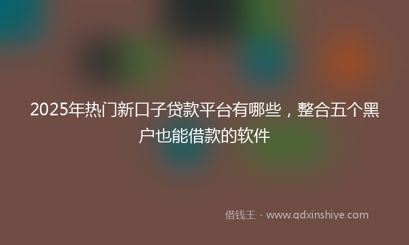 2025年热门新口子贷款平台有哪些，整合五个黑户也能借款的软件