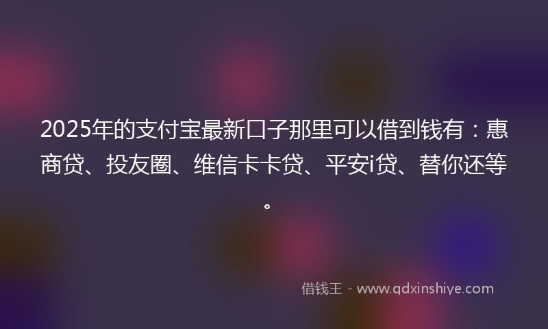 2025年的支付宝最新口子那里可以借到钱有：惠商贷、投友圈、维信卡卡贷、平安i贷、替你还等。