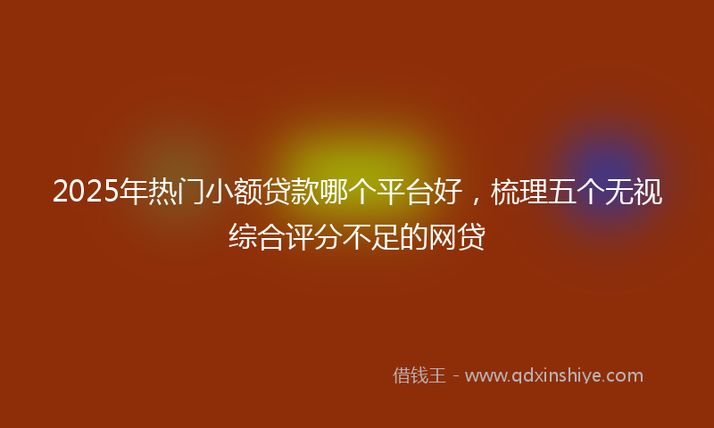 2025年热门小额贷款哪个平台好，梳理五个无视综合评分不足的网贷