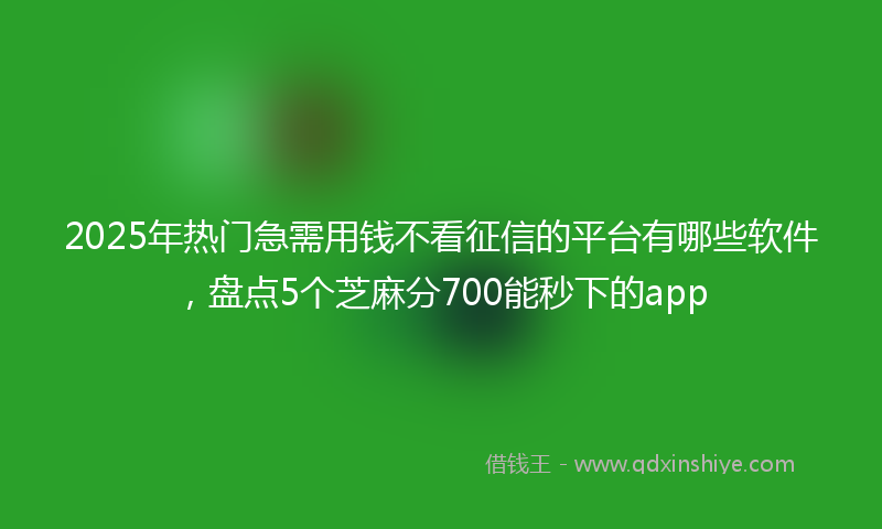 2025年热门急需用钱不看征信的平台有哪些软件，盘点5个芝麻分700能秒下的app