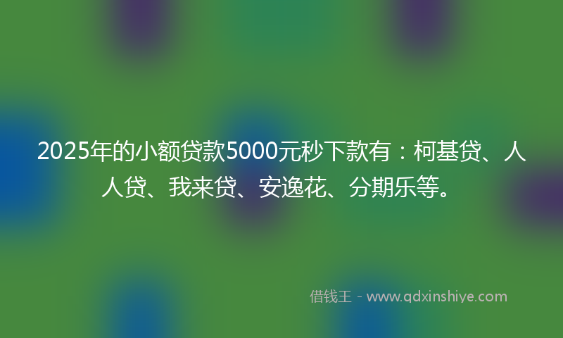 2025年的小额贷款5000元秒下款有：柯基贷、人人贷、我来贷、安逸花、分期乐等。