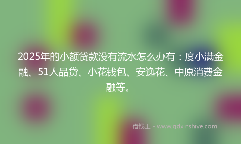 2025年的小额贷款没有流水怎么办有：度小满金融、51人品贷、小花钱包、安逸花、中原消费金融等。