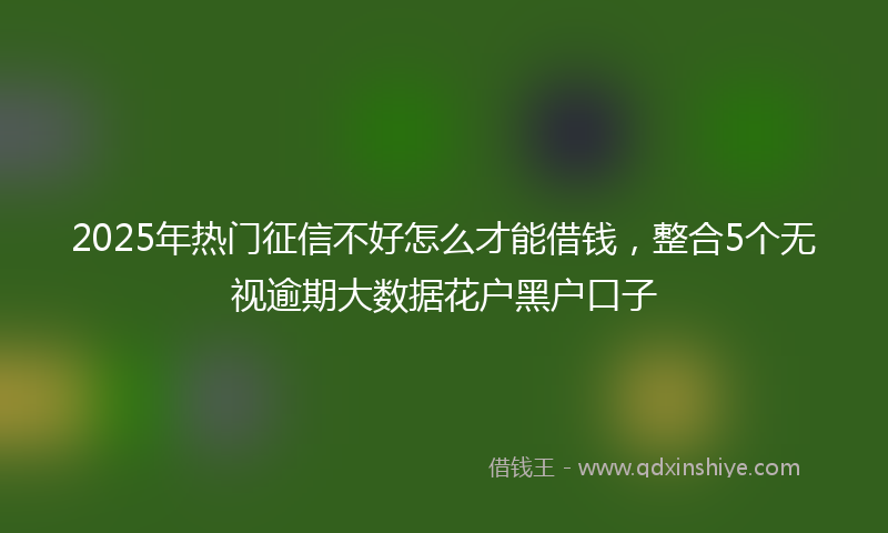 2025年热门征信不好怎么才能借钱，整合5个无视逾期大数据花户黑户口子