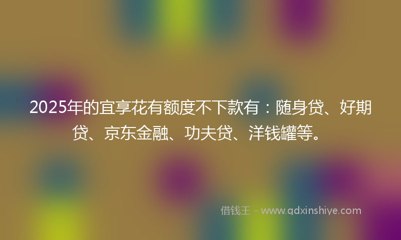 2025年的宜享花有额度不下款有：随身贷、好期贷、京东金融、功夫贷、洋钱罐等。
