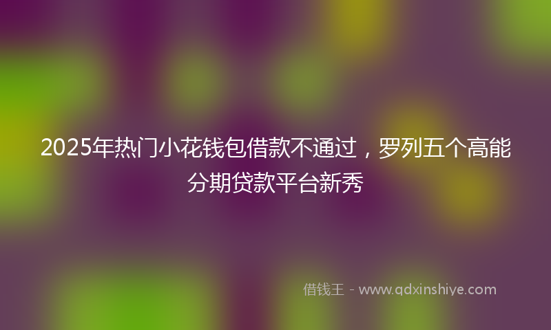 2025年热门小花钱包借款不通过，罗列五个高能分期贷款平台新秀