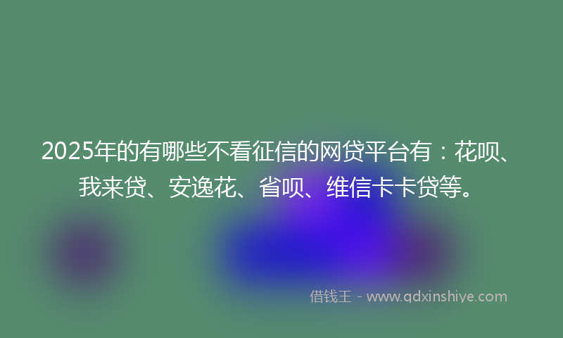 2025年的有哪些不看征信的网贷平台有：花呗、我来贷、安逸花、省呗、维信卡卡贷等。