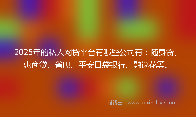 2025年的私人网贷平台有哪些公司有：随身贷、惠商贷、省呗、平安口袋银行、融逸花等。