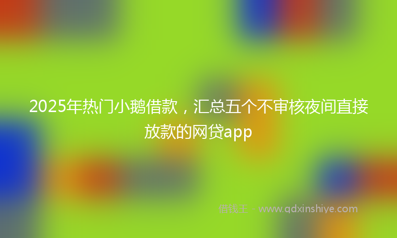 2025年热门小鹅借款，汇总五个不审核夜间直接放款的网贷app
