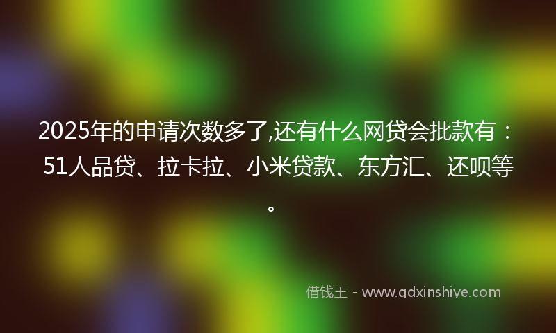 2025年的申请次数多了,还有什么网贷会批款有：51人品贷、拉卡拉、小米贷款、东方汇、还呗等。
