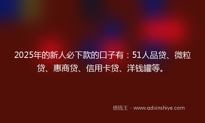 2025年的新人必下款的口子有：51人品贷、微粒贷、惠商贷、信用卡贷、洋钱罐等。