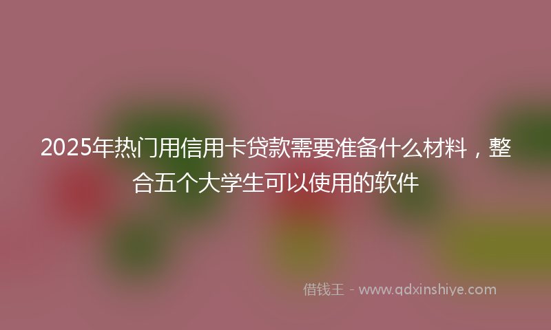 2025年热门用信用卡贷款需要准备什么材料，整合五个大学生可以使用的软件