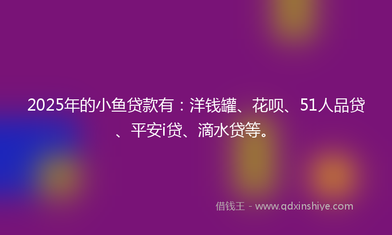 2025年的小鱼贷款有：洋钱罐、花呗、51人品贷、平安i贷、滴水贷等。