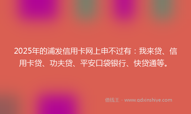 2025年的浦发信用卡网上申不过有：我来贷、信用卡贷、功夫贷、平安口袋银行、快贷通等。