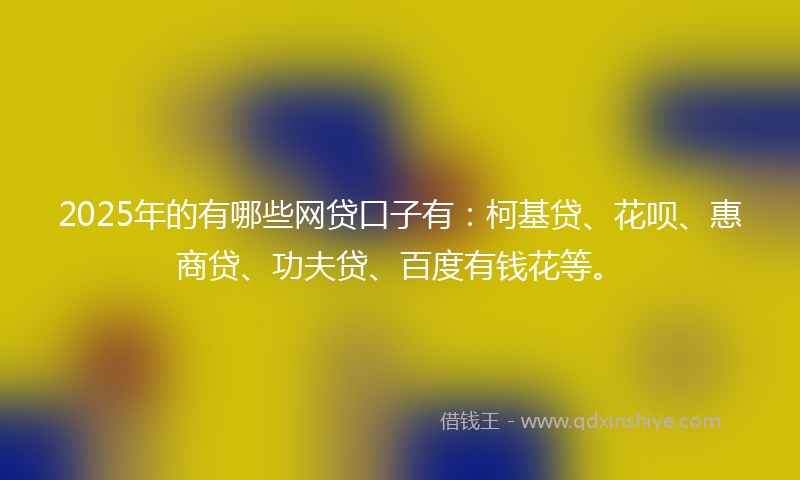 2025年的有哪些网贷口子有：柯基贷、花呗、惠商贷、功夫贷、百度有钱花等。