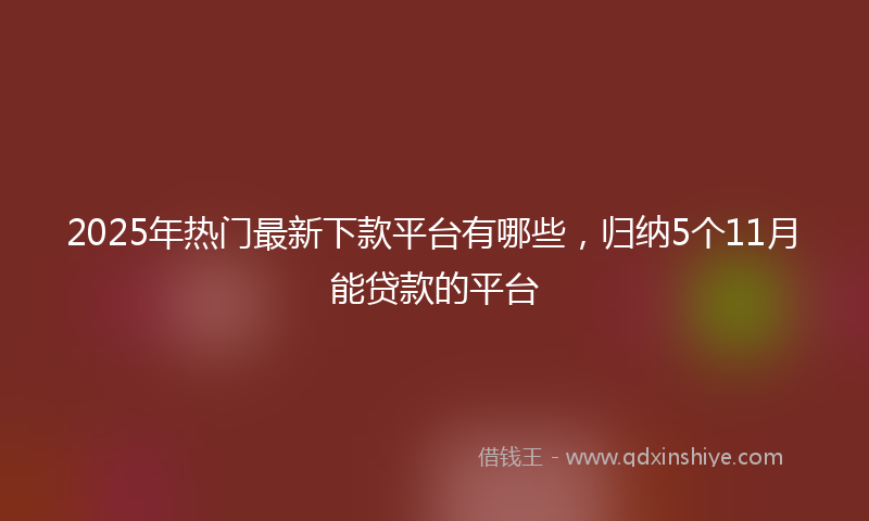 2025年热门最新下款平台有哪些，归纳5个11月能贷款的平台