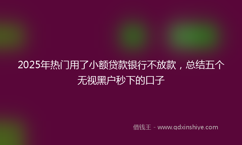 2025年热门用了小额贷款银行不放款，总结五个无视黑户秒下的口子