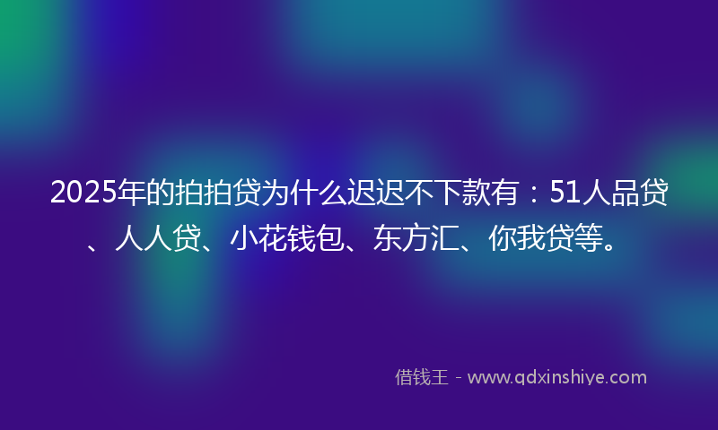 2025年的拍拍贷为什么迟迟不下款有：51人品贷、人人贷、小花钱包、东方汇、你我贷等。