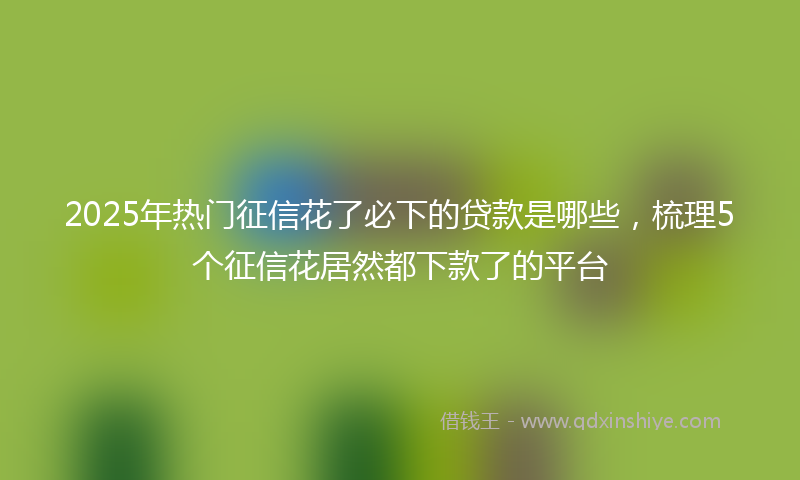 2025年热门征信花了必下的贷款是哪些，梳理5个征信花居然都下款了的平台