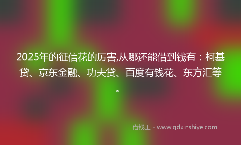 2025年的征信花的厉害,从哪还能借到钱有：柯基贷、京东金融、功夫贷、百度有钱花、东方汇等。
