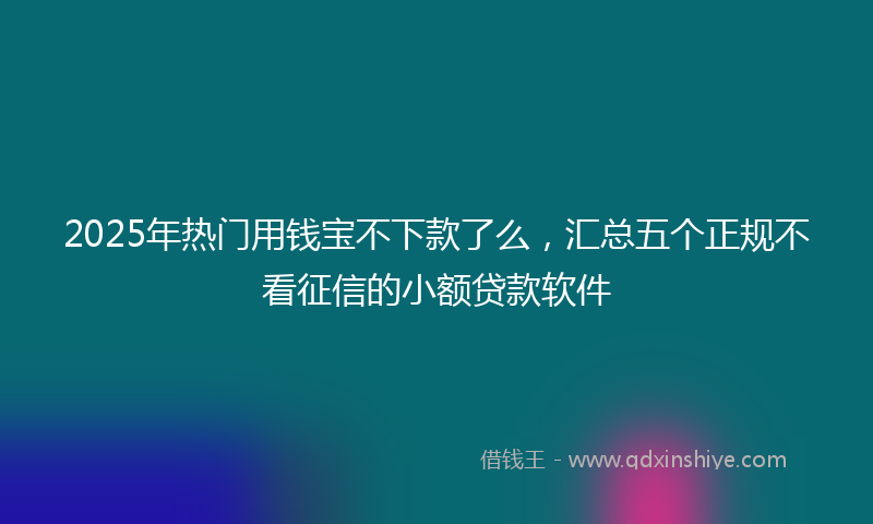2025年热门用钱宝不下款了么，汇总五个正规不看征信的小额贷款软件